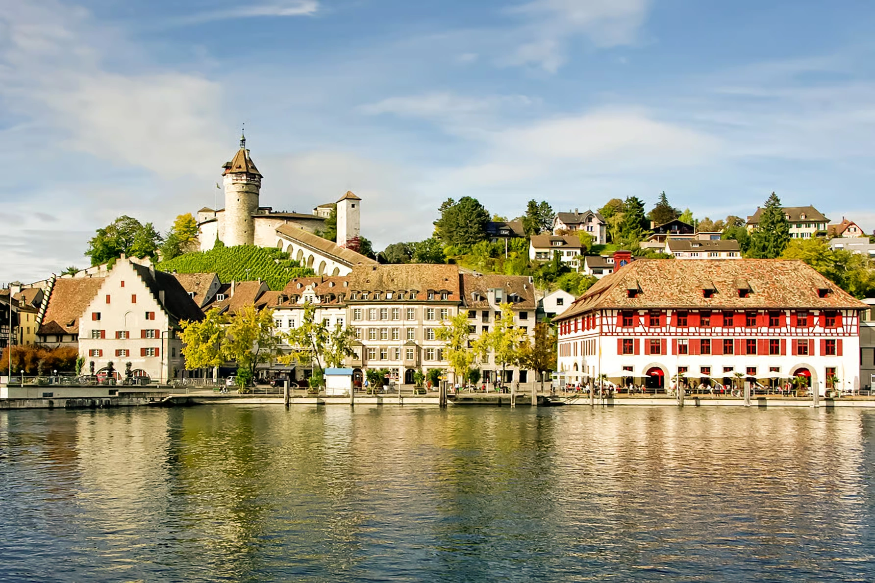Rhine Falls day trip from Zurich without arranging transport