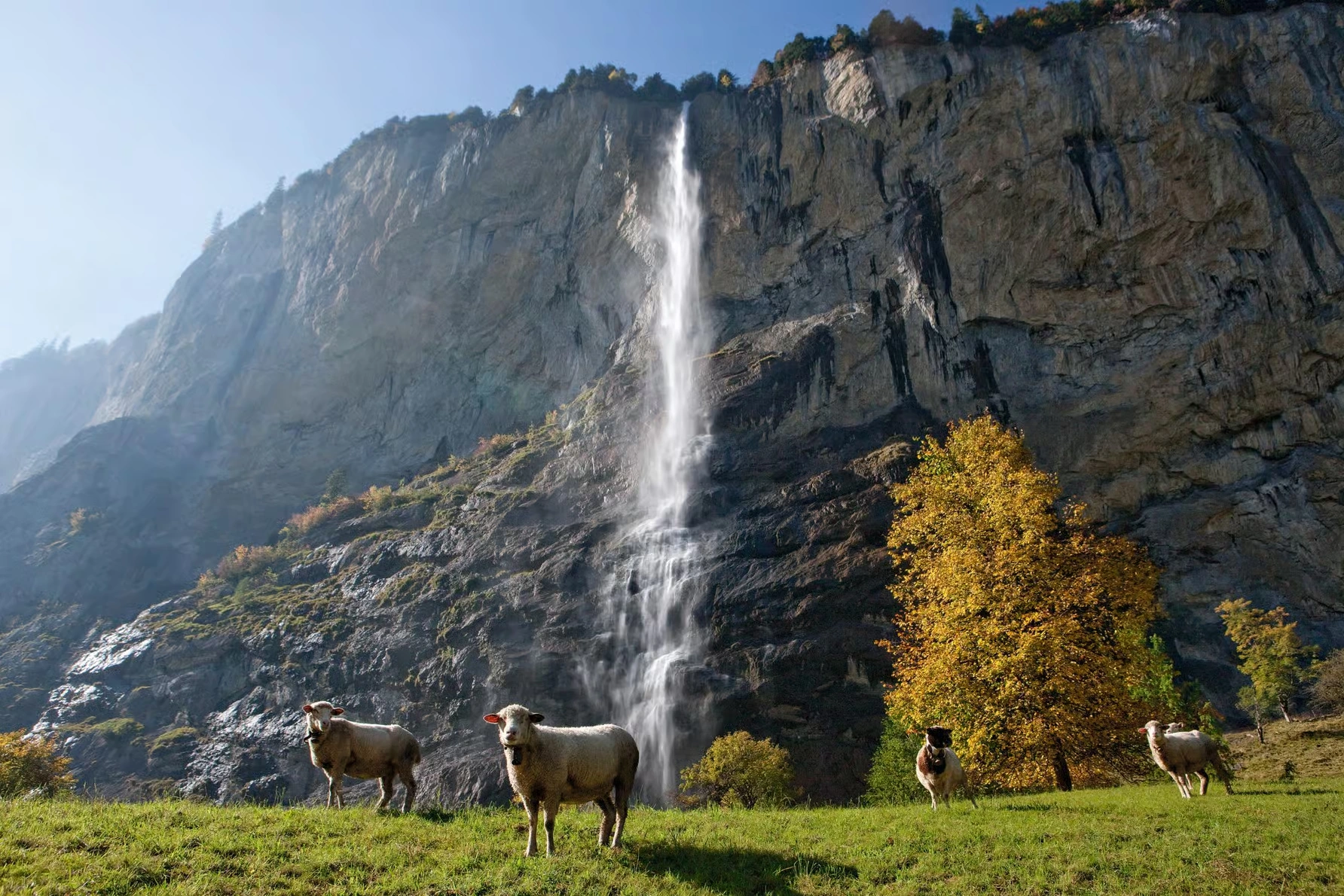 Excursion de Zurich à Grindelwald, Interlaken et Lauterbrunnen
