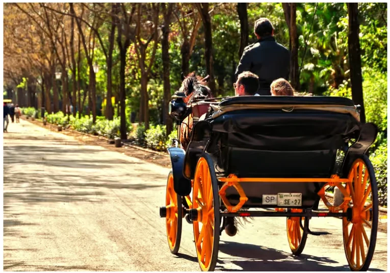 Horse-drawn carriage ride in Seville