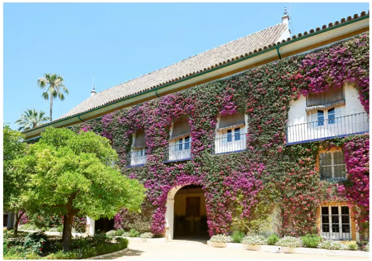 Palacio de las Dueñas Seville ticket with audio guide