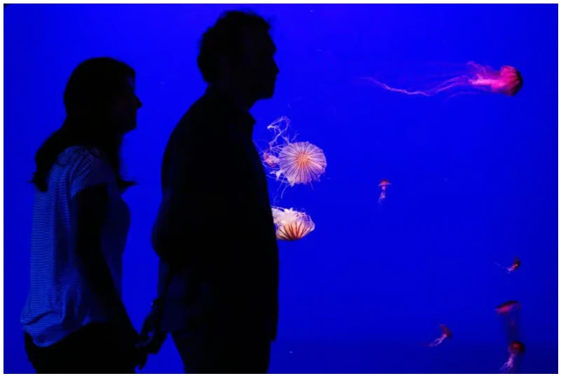 Seville Aquarium entry ticket for an easy family visit