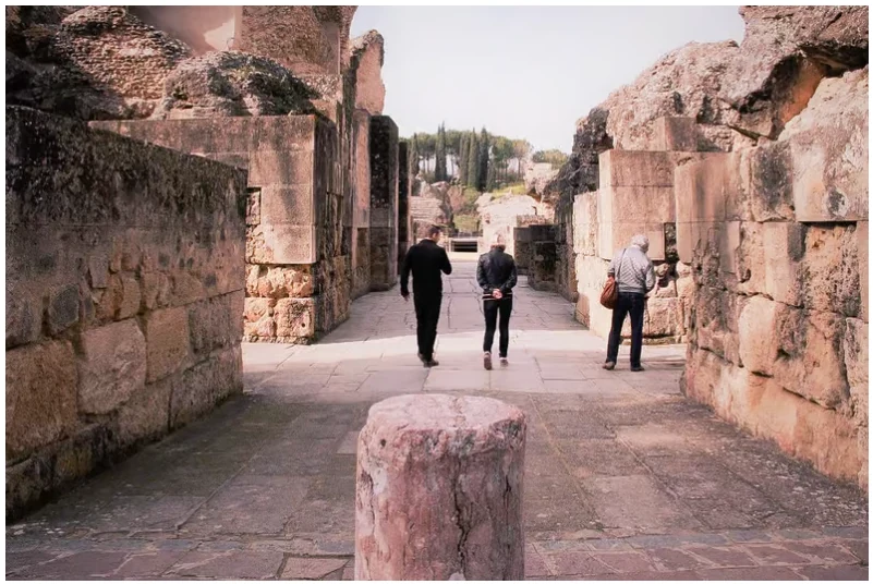Roman Italica tour from Seville with local guide and admission included