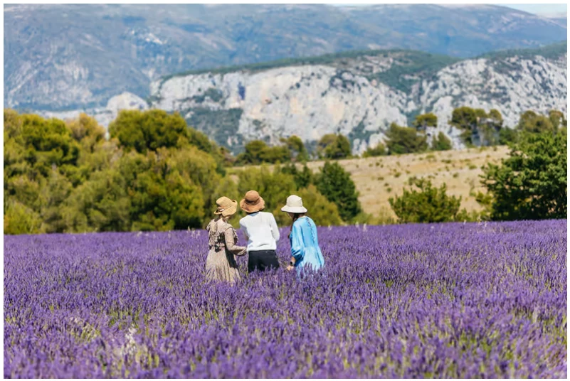 Verdon Gorge tour from Nice: lavender, lake views and Provençal villages