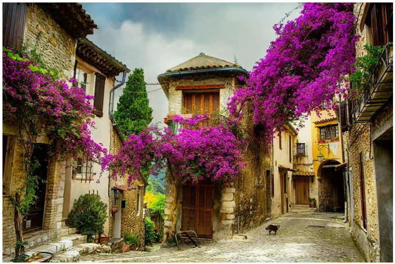 Provence Tour from Nice: Medieval Villages and Fragonard