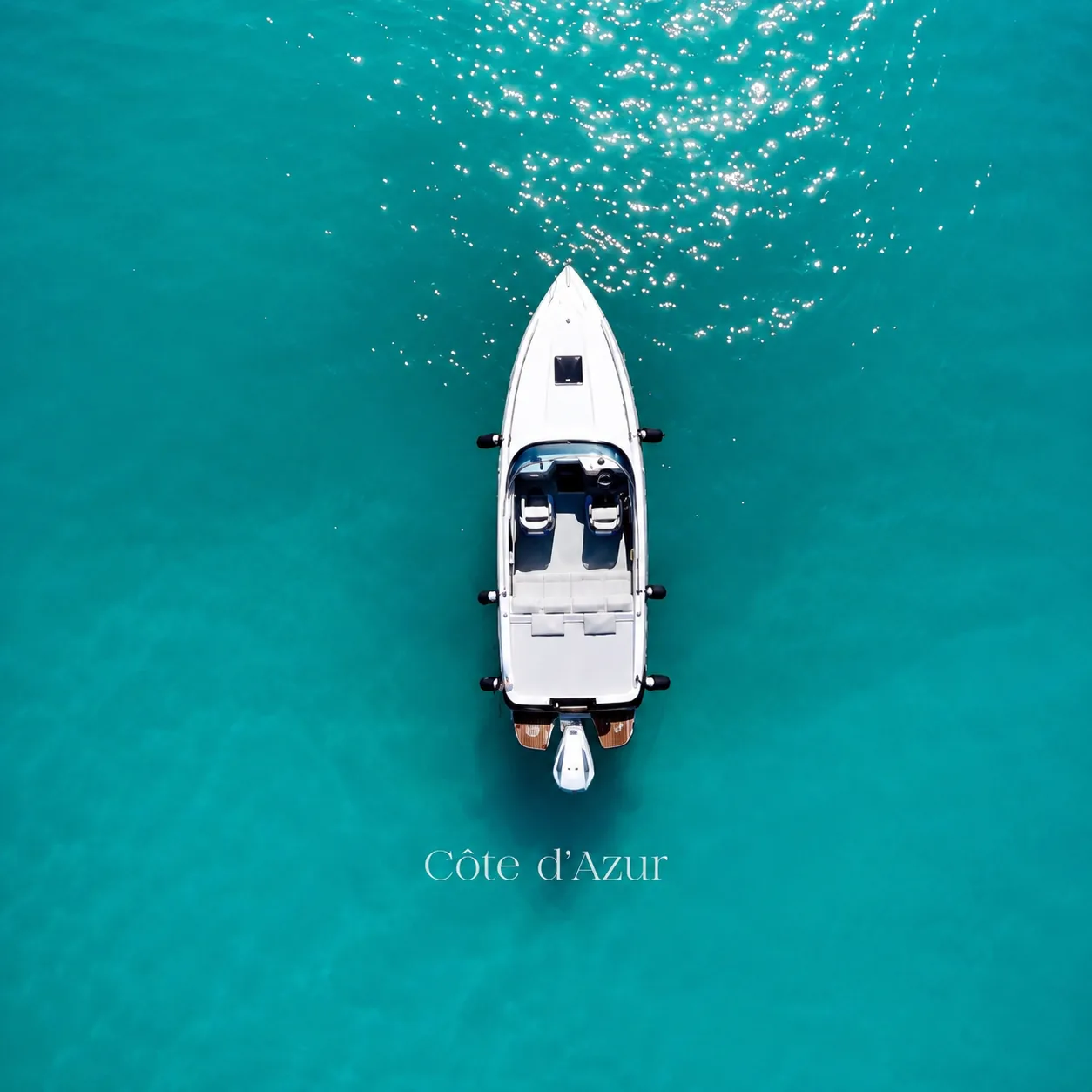 Private cruise in Nice to discover the French Riviera from the sea