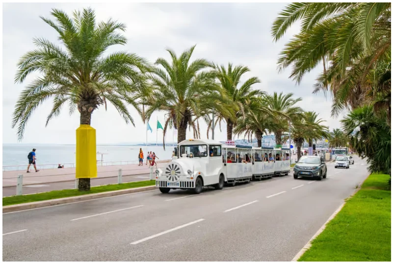 Nice electric tourist train with panoramic views