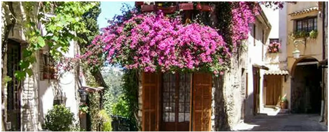 Tour from Nice to Grasse and medieval villages of the French Riviera