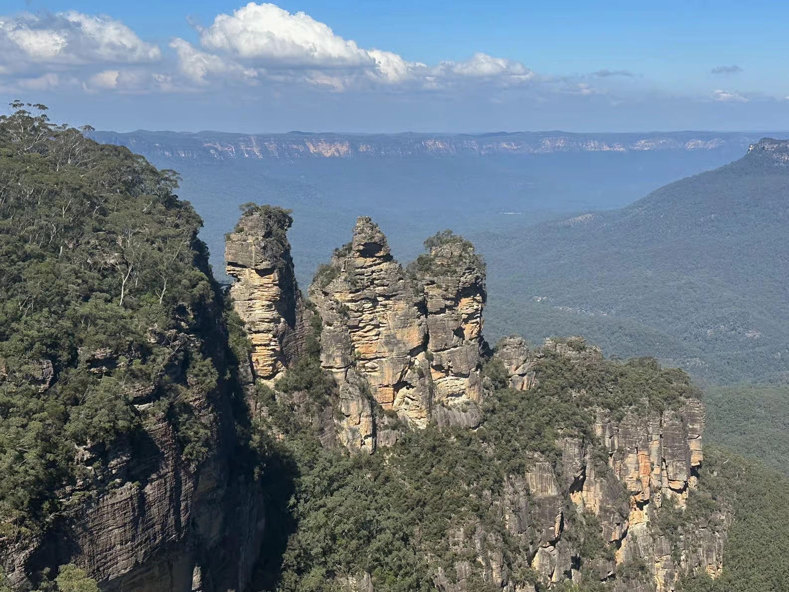 Blue Mountains Scenic World Tagesausflug ab Sydney mit Zoo und Koala-Foto
