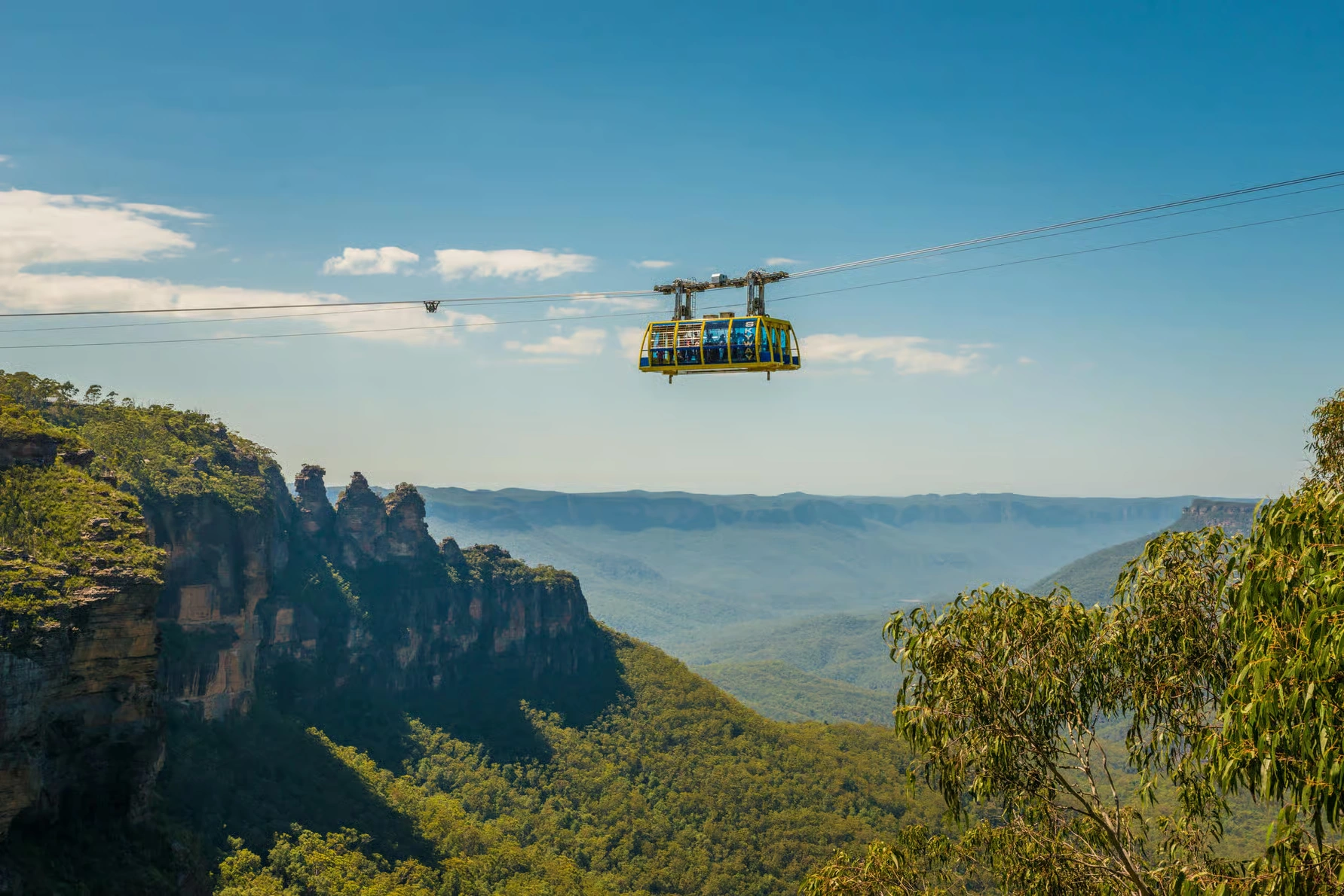Blue Mountains Scenic World Tagesausflug ab Sydney mit Zoo und Koala-Foto