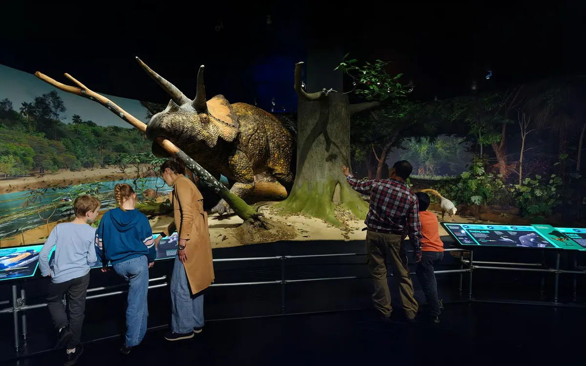 American Museum of Natural History New York Ticket: dinosaurs, science and 40+ halls