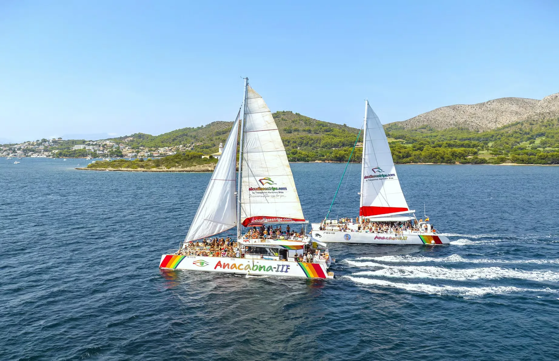 Catamaran cruise from Port d'Alcúdia with meal