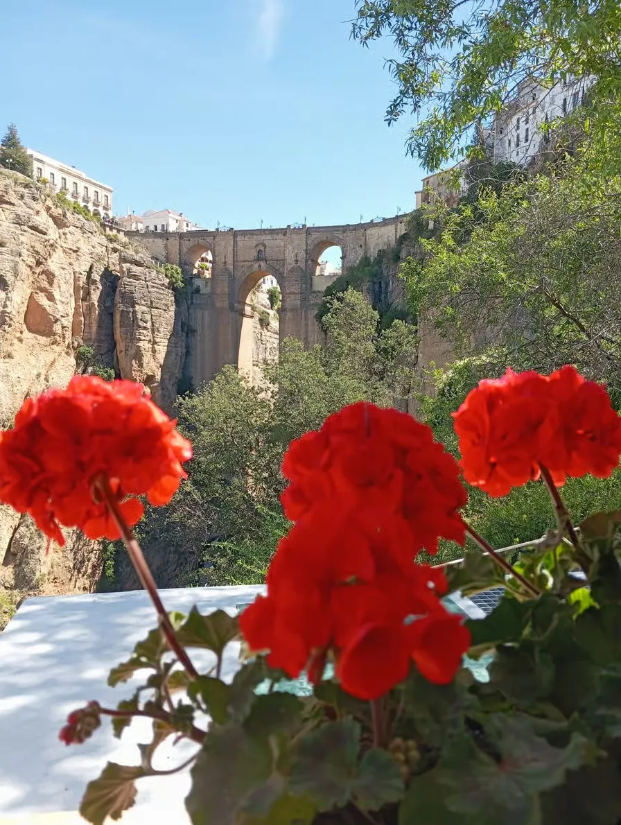 Day trip from Málaga to Setenil and Ronda in one organized route