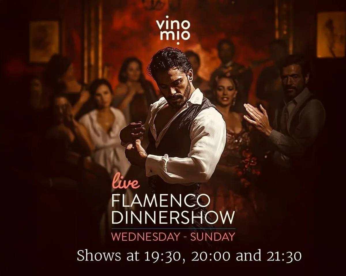 Flamenco dinner show in Málaga | VinoMío restaurant