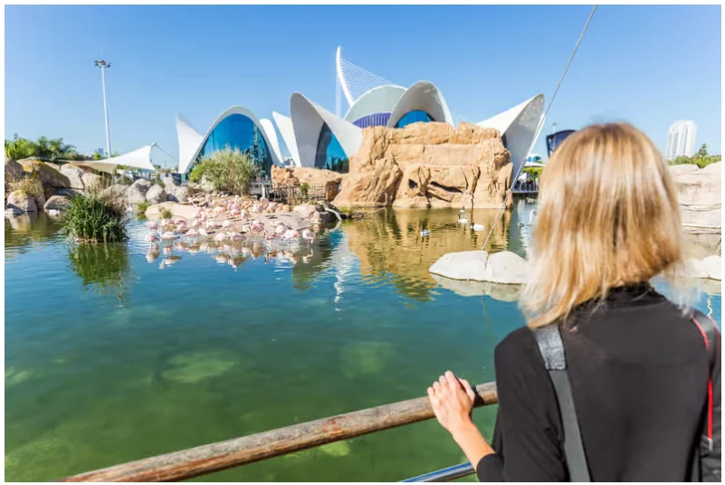Valencia: Oceanogràfic and Science Museum Combined Ticket