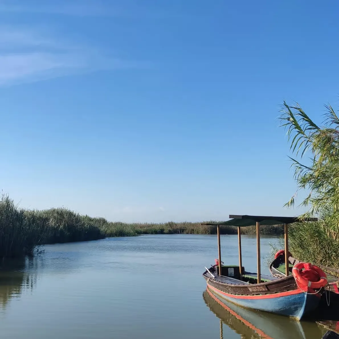 Boat trip through Albufera de Valencia with a traditional barraca visit