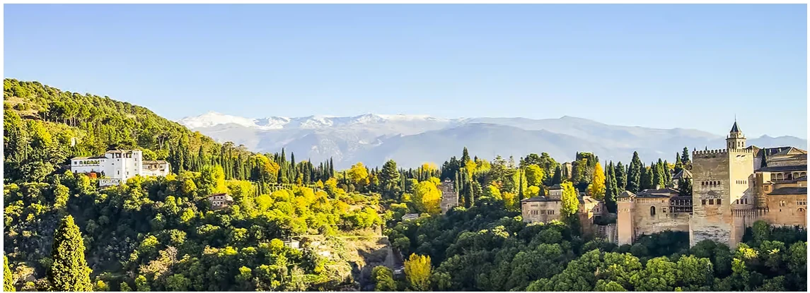 Visita guiada Alhambra y Palacios Nazaríes con entradas en Granada