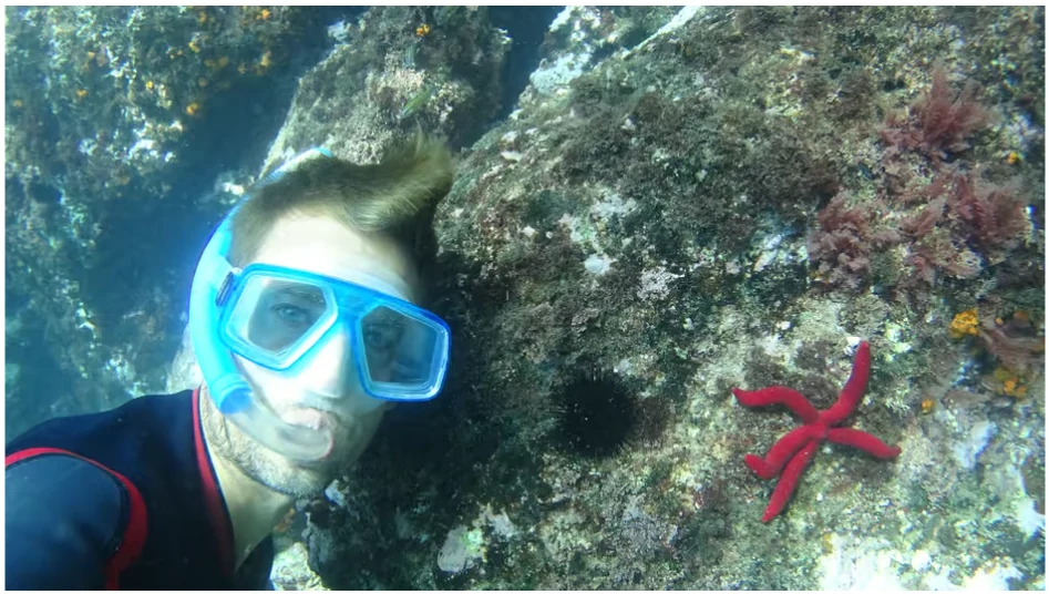 Kayak et snorkeling à La Herradura autour de Cerro Gordo