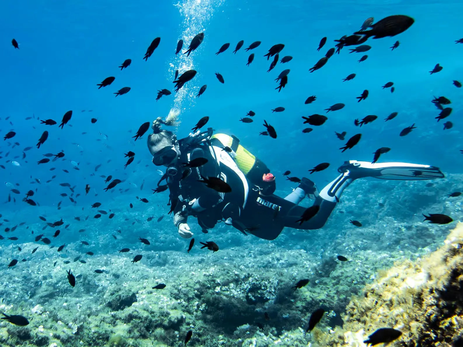 Beginner scuba diving in Alcúdia with snorkeling in Mallorca