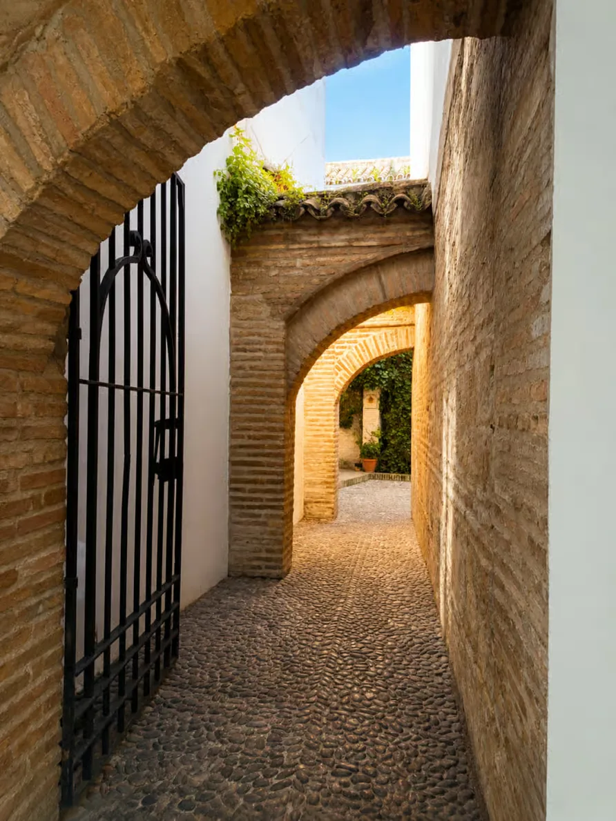 Córdoba Patios, Jewish Quarter and Synagogue Tour