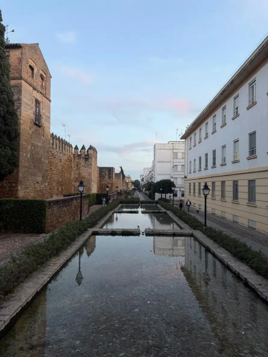 Tour por los Patios, la Judería y la Sinagoga de Córdoba