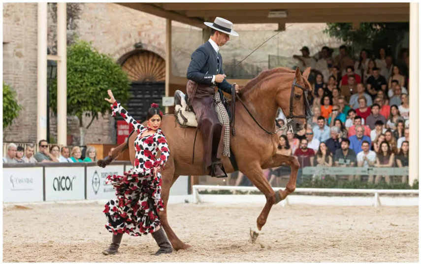 Córdoba equestrian show: Royal Stables general admission ticket