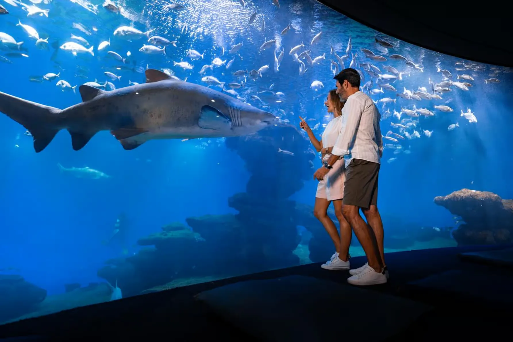 Palma Aquarium ticket Mallorca with optional 3D cinema