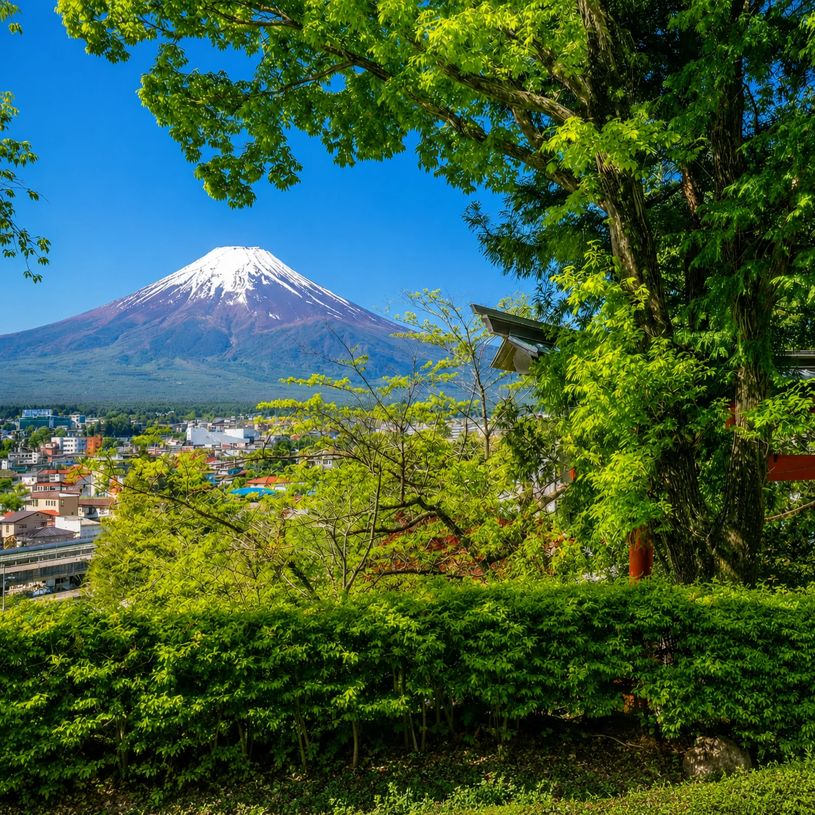Mount Fuji Tour from Tokyo with Oishi Park, Lake Kawaguchi and Oshino Hakkai