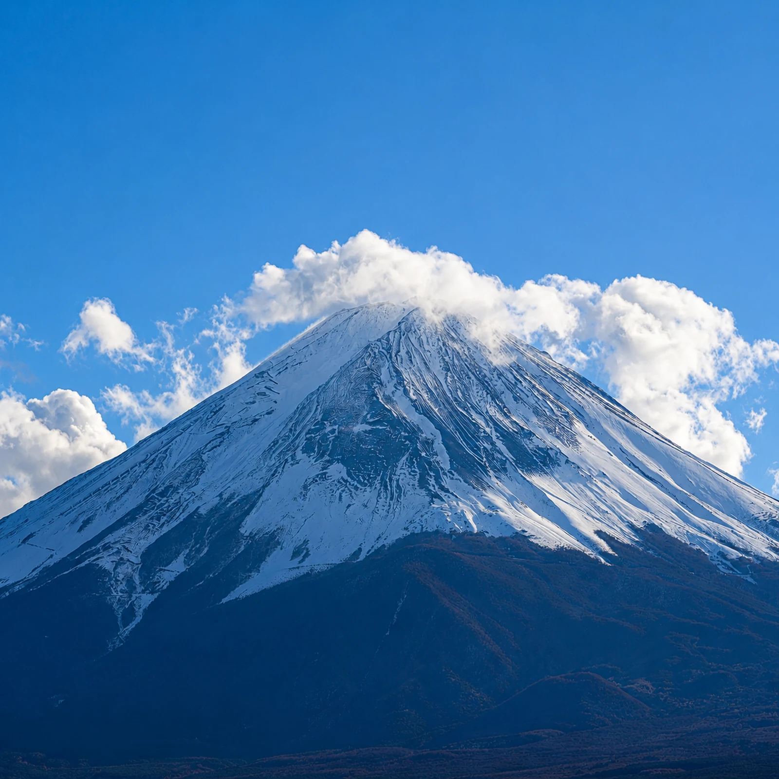 Private Mount Fuji tour from Tokyo with a flexible route