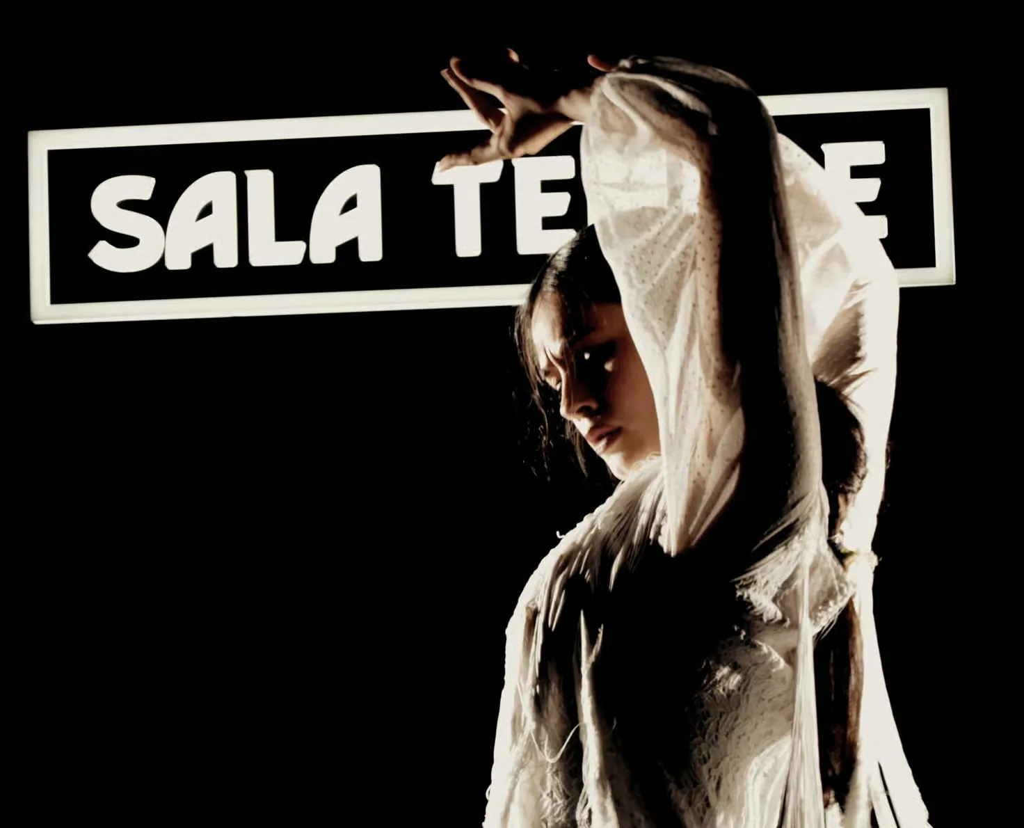 Sala Temple flamenco show Madrid with drink