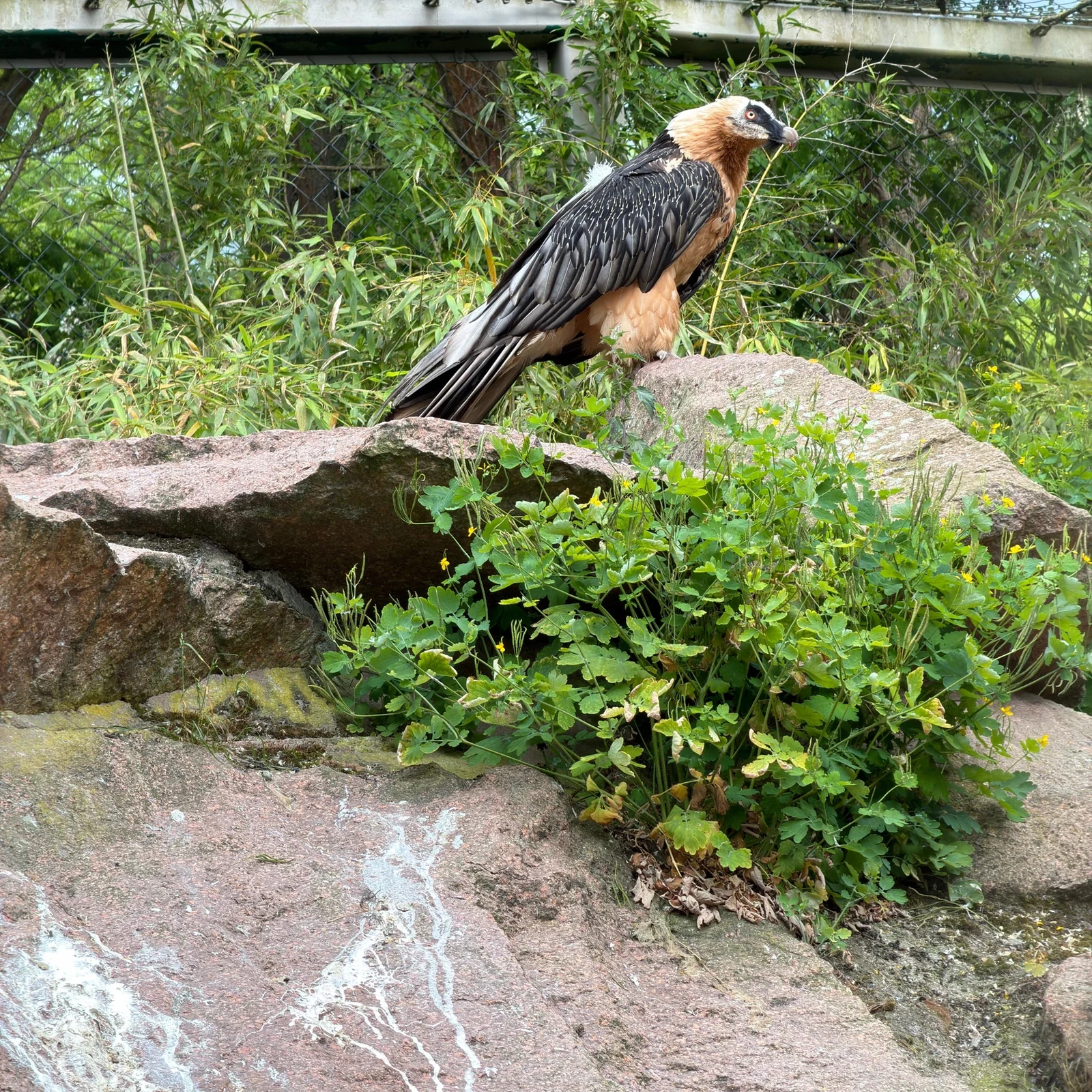Tierpark Berlin Tickets