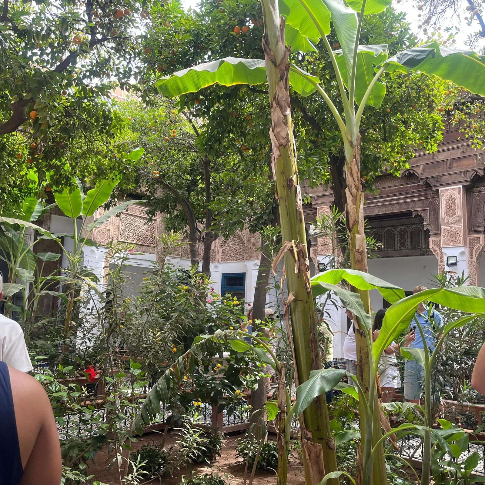 Marrakech Bahia Palace Saadian Tombs tour with souk and medina