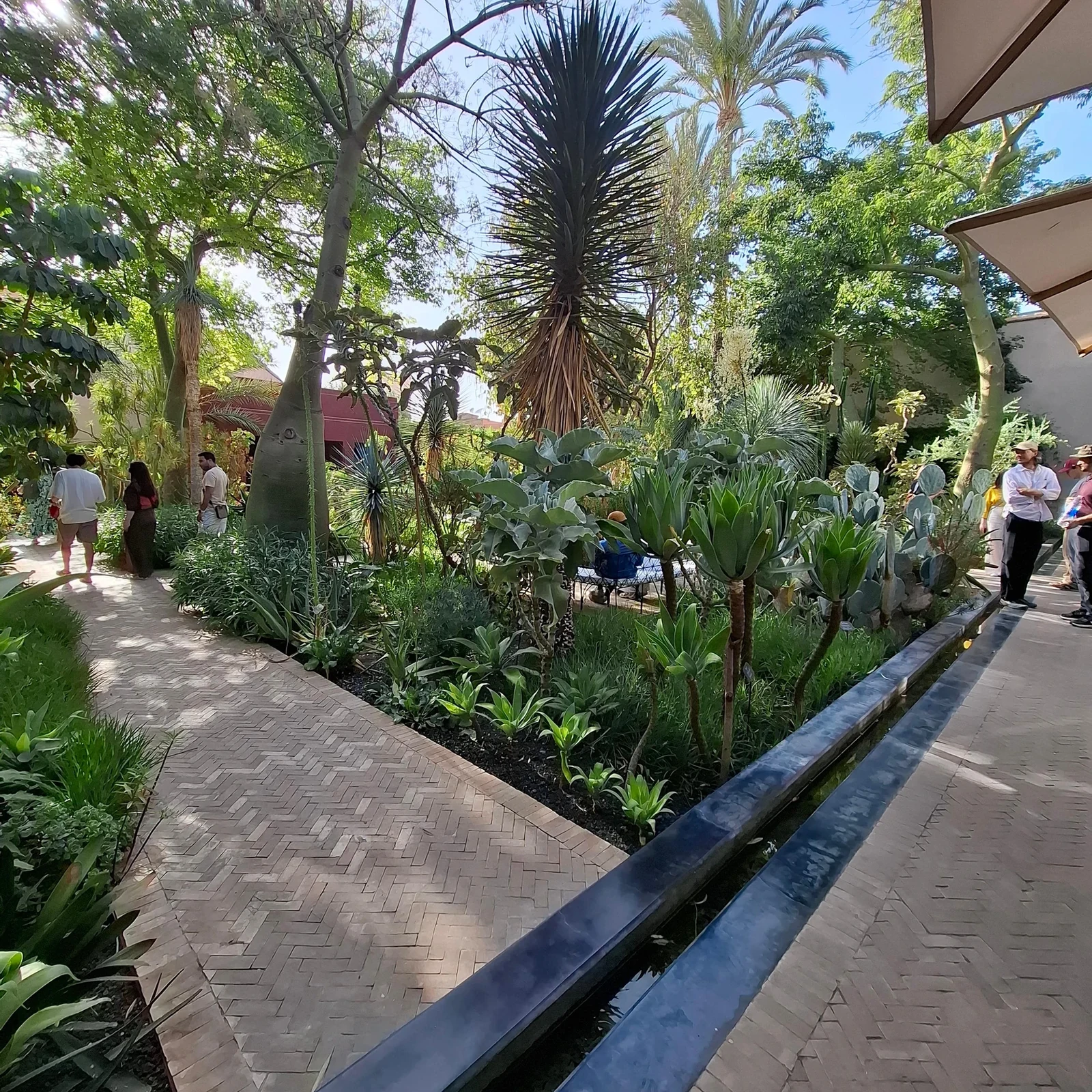 Ben Youssef, Secret Garden and souks Marrakech tour with a local guide