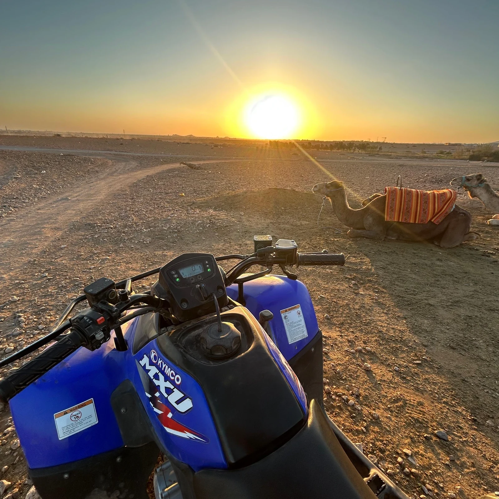 Quad Bike Tour Marrakech through the Palmeraie and Jbilat Desert: Is It Worth It?
