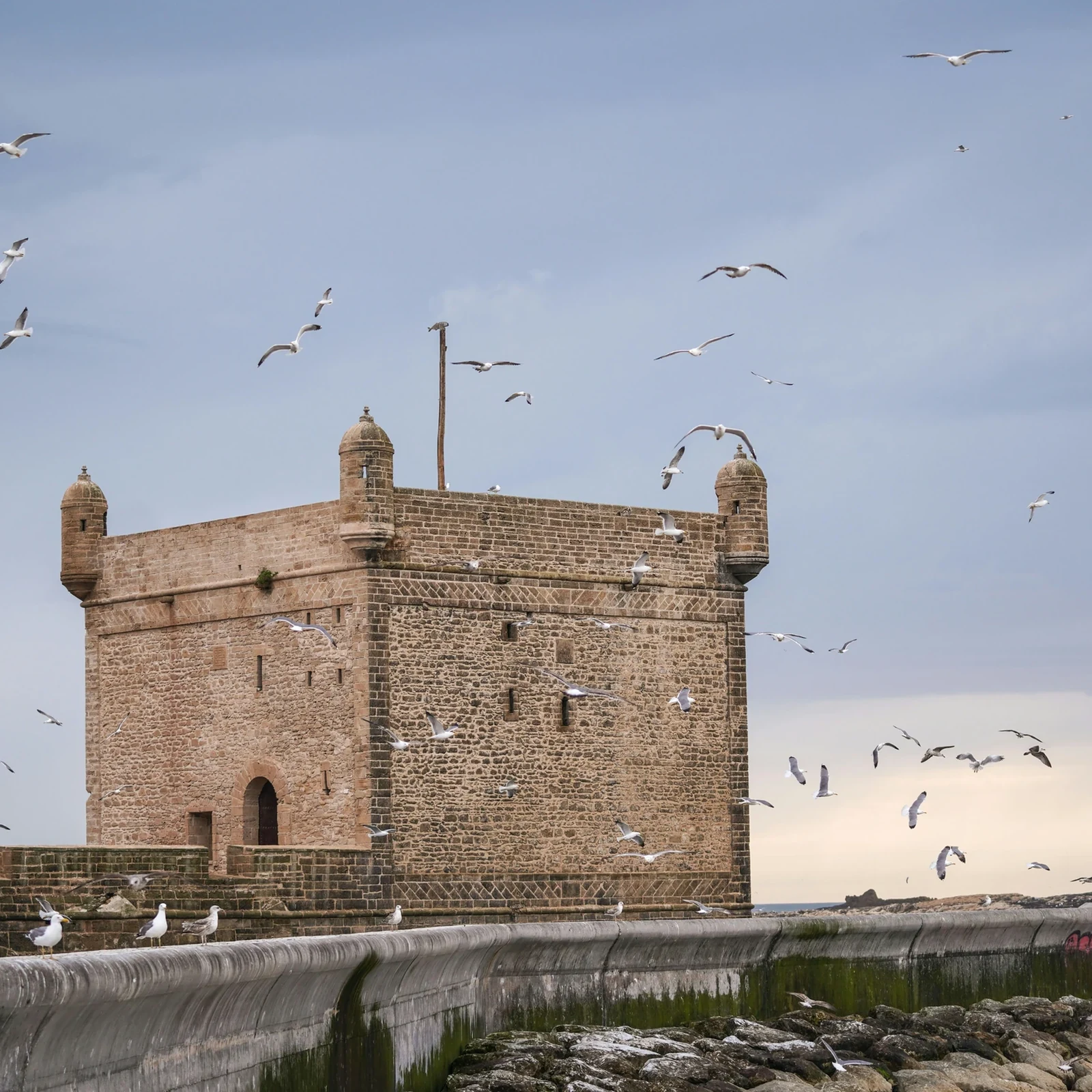 Essaouira Day Trip from Marrakech with Lunch