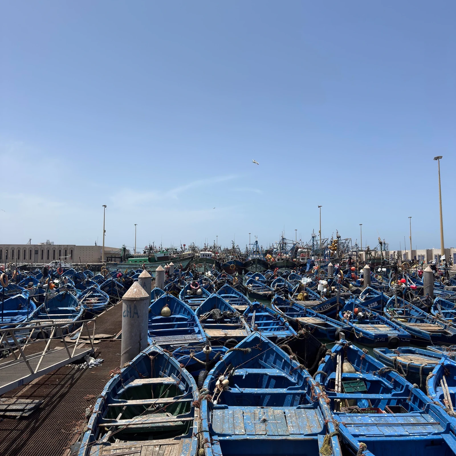 Essaouira Day Trip from Marrakech: a Full-Day Coastal Escape
