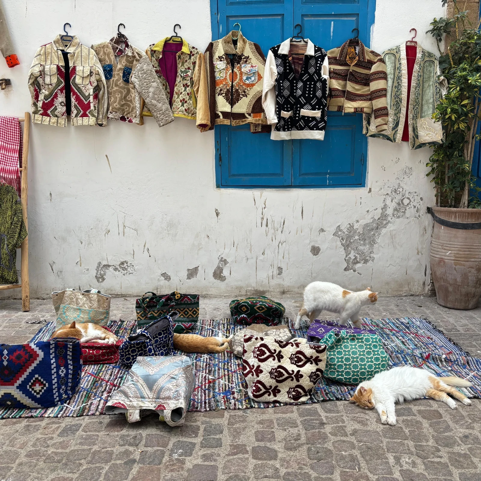 Essaouira Day Trip from Marrakech: a Full-Day Coastal Escape