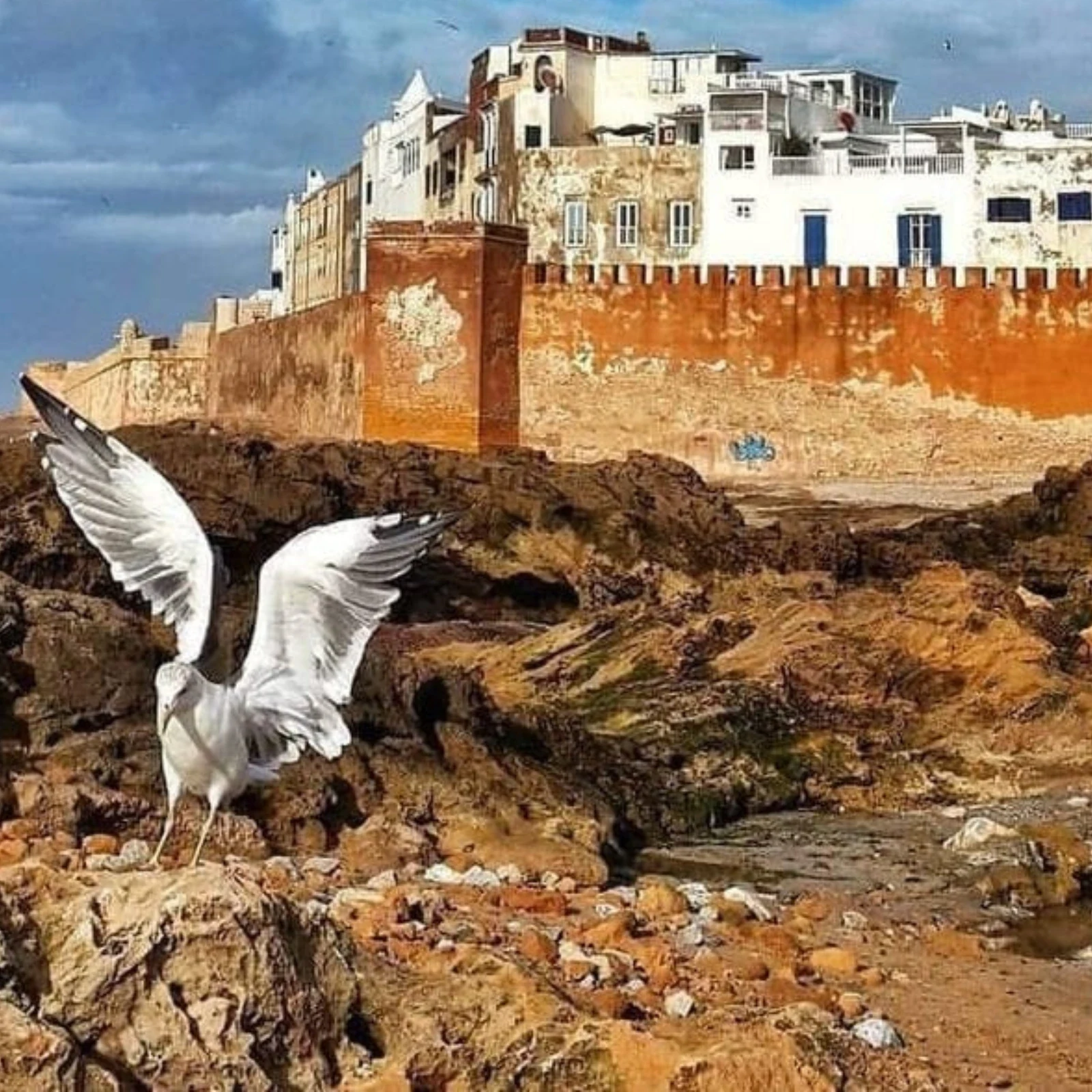Essaouira Day Trip from Marrakech with Beach, Medina and Ramparts: Is It Worth Booking?