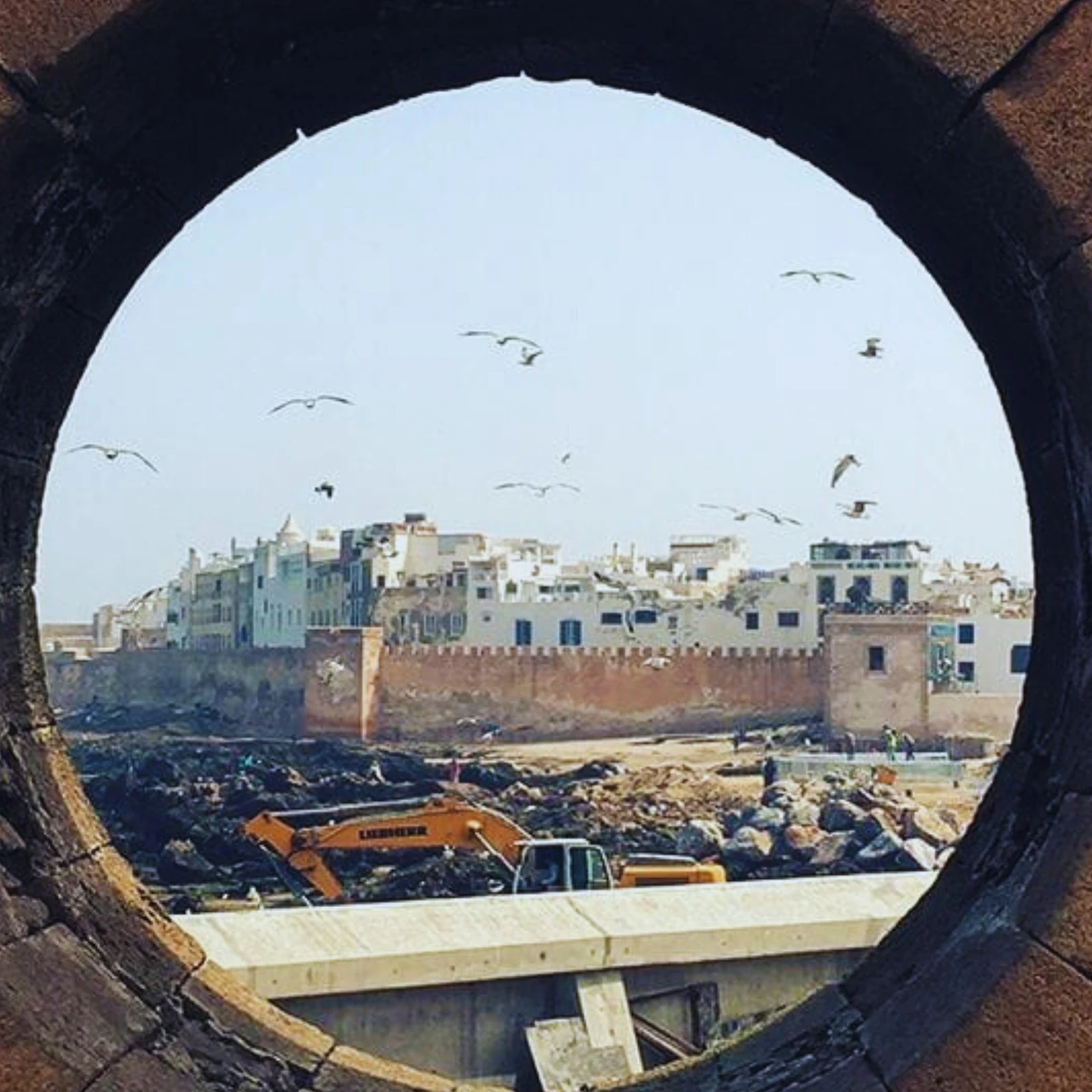 Essaouira day trip from Marrakech with free time on the coast