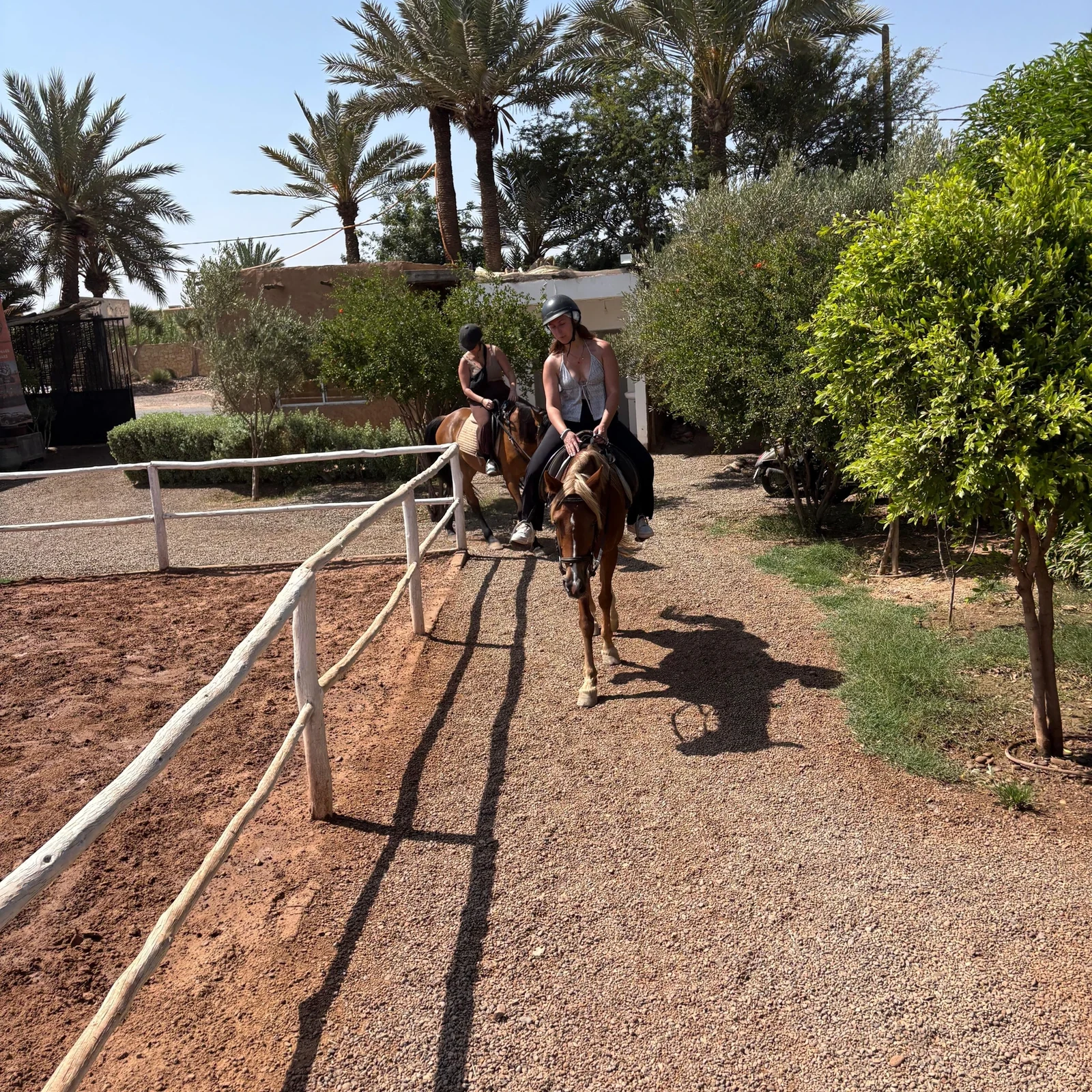 Horseback ride through Marrakech’s Palmeraie