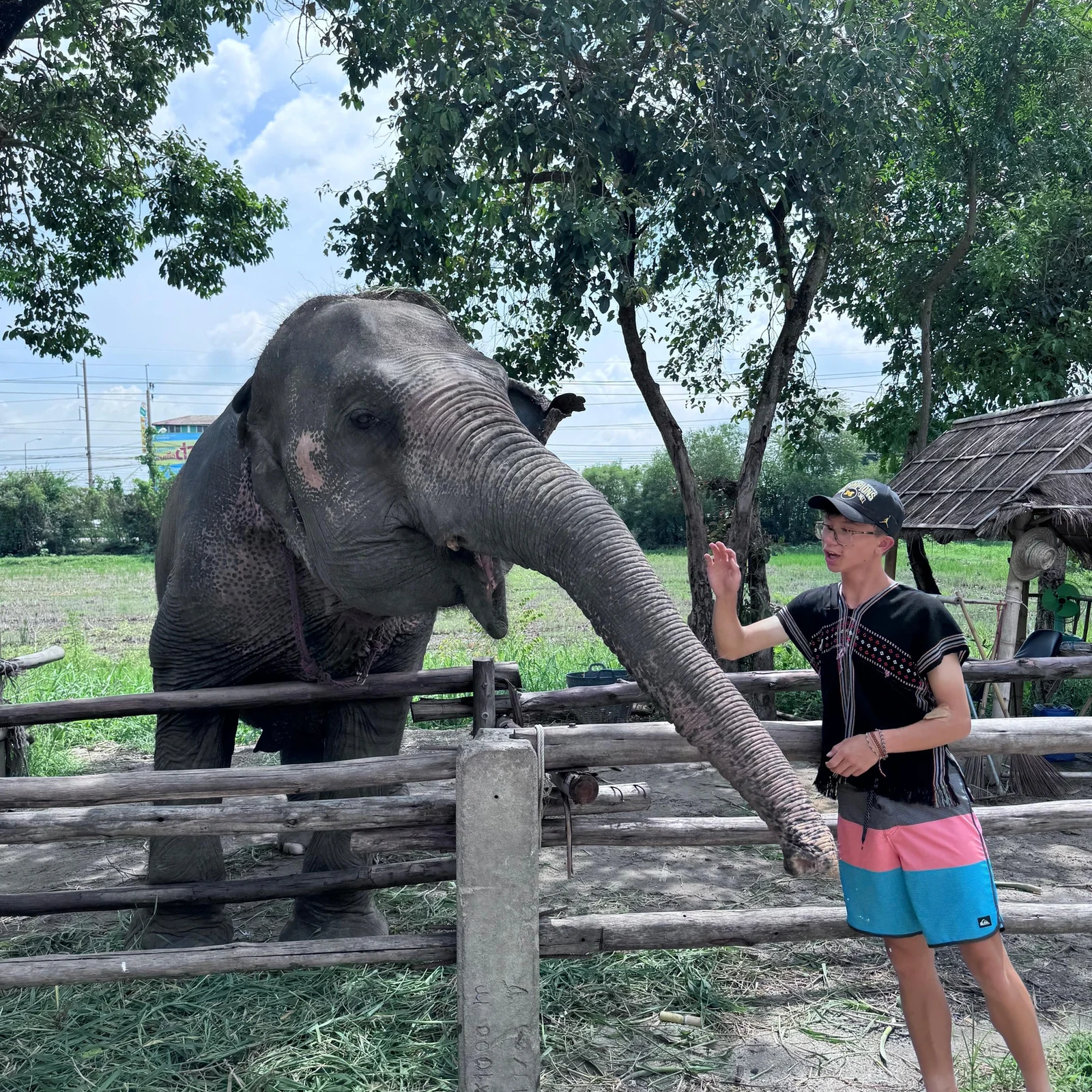 Expérience éthique avec éléphants à Bangkok, sans balade ni spectacle
