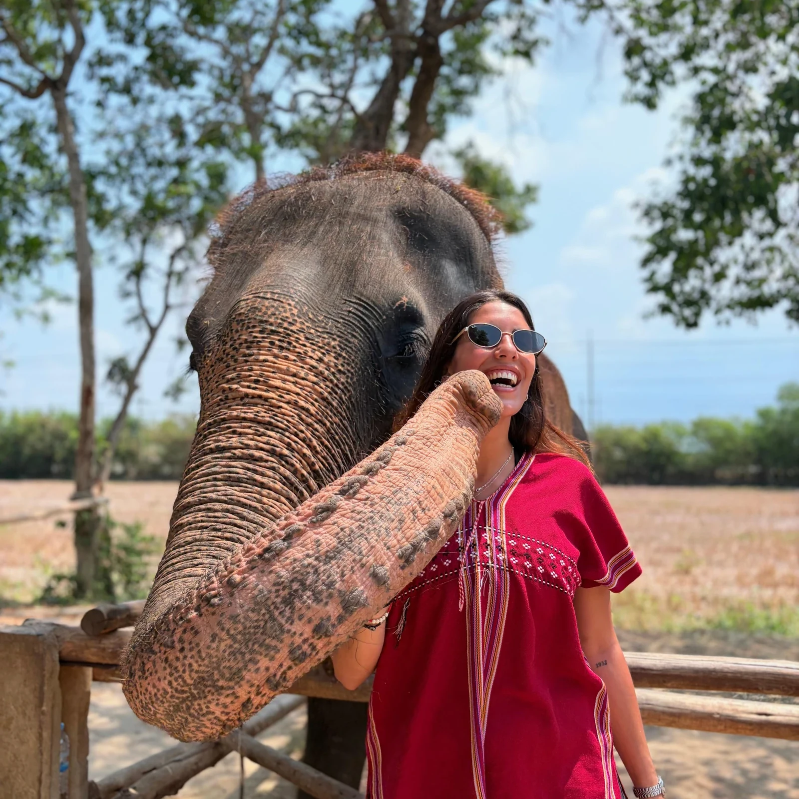Expérience éthique avec éléphants à Bangkok, sans balade ni spectacle