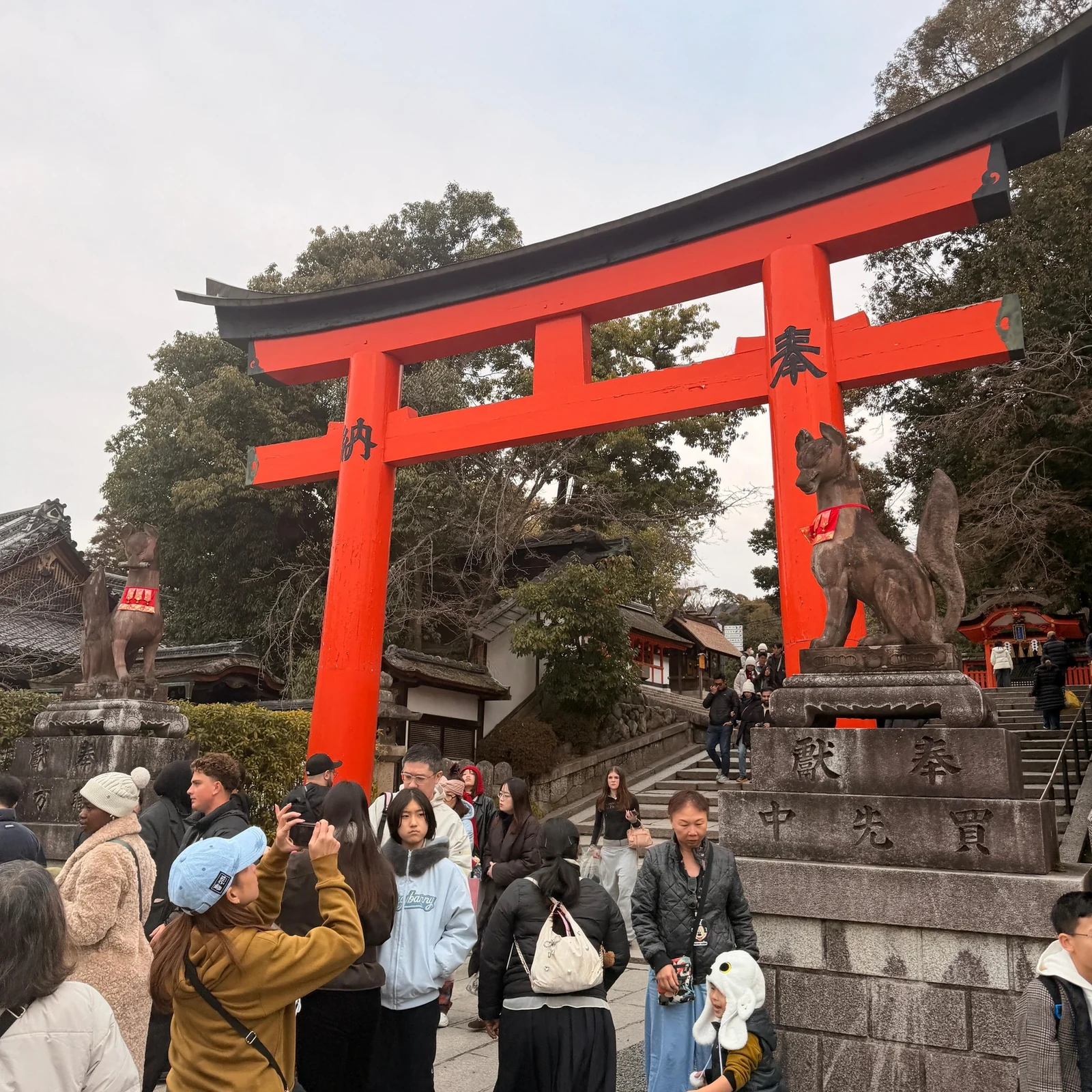 Private Kyoto Tour by Luxury Vehicle | Customizable Day Trip