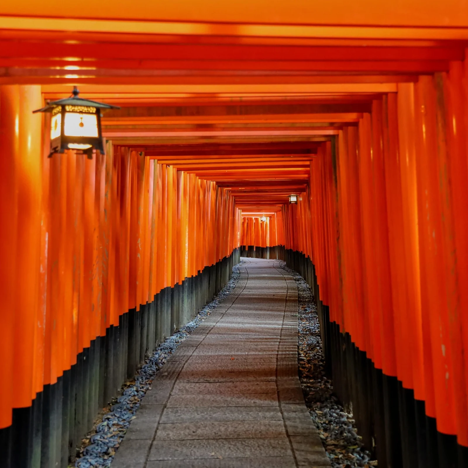 Kyoto Fushimi Inari, Kinkakuji and Bamboo Grove Bus Tour: Is This 1-Day Tour Worth Booking?