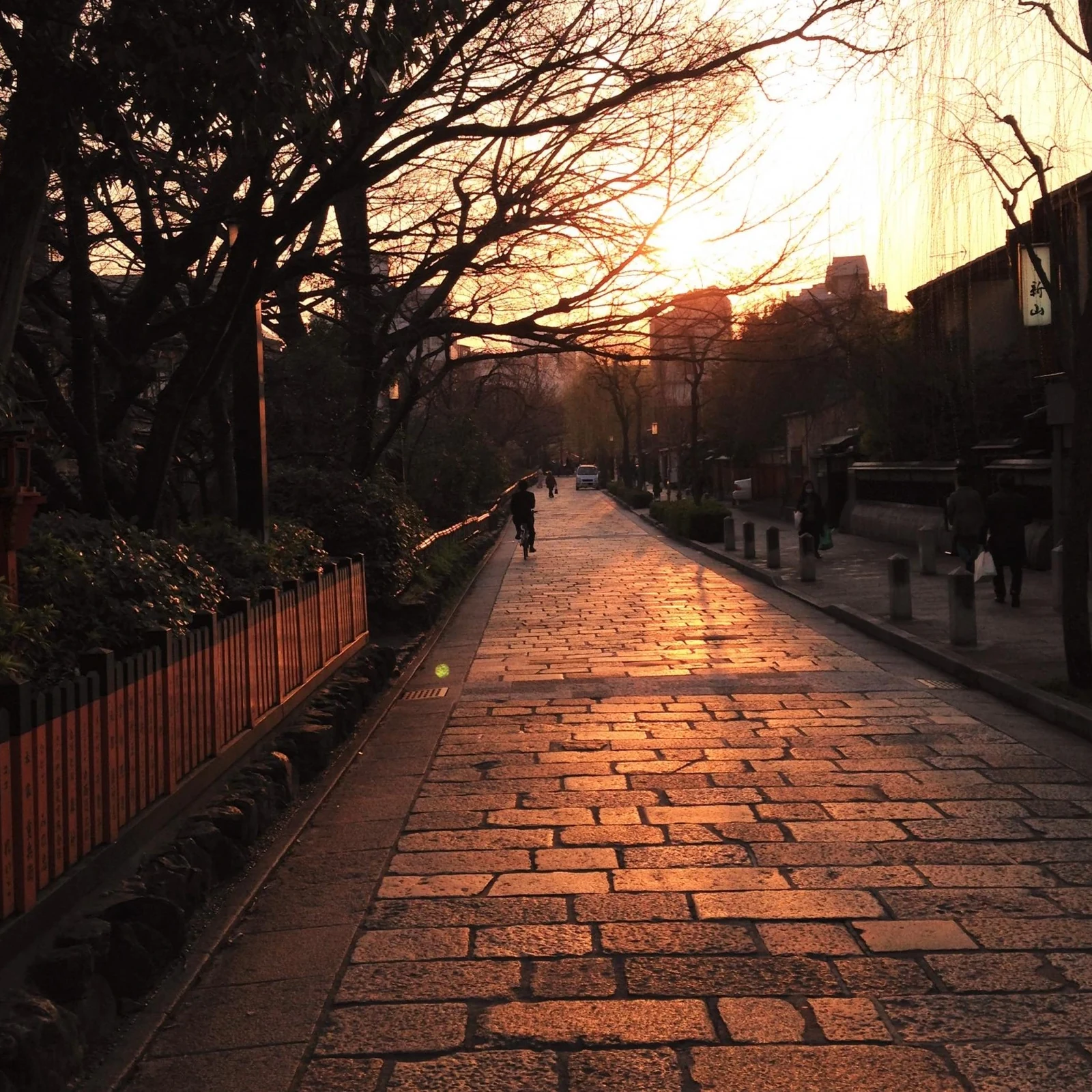 Gion Kyoto geisha tour with a local guide