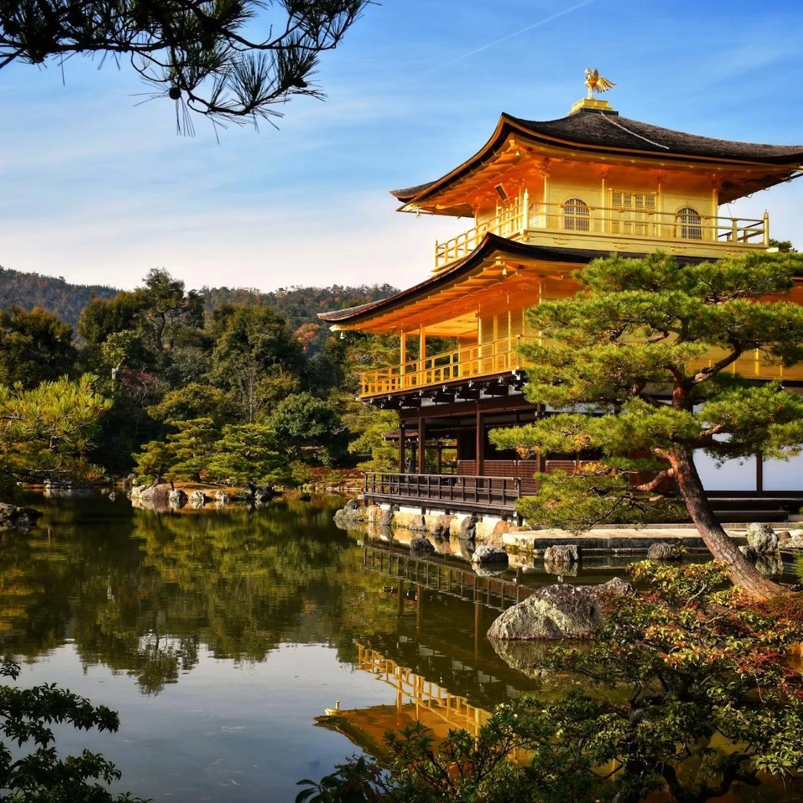 Arashiyama Bamboo Forest Kinkaku-ji guided tour in Kyoto: review and booking tips
