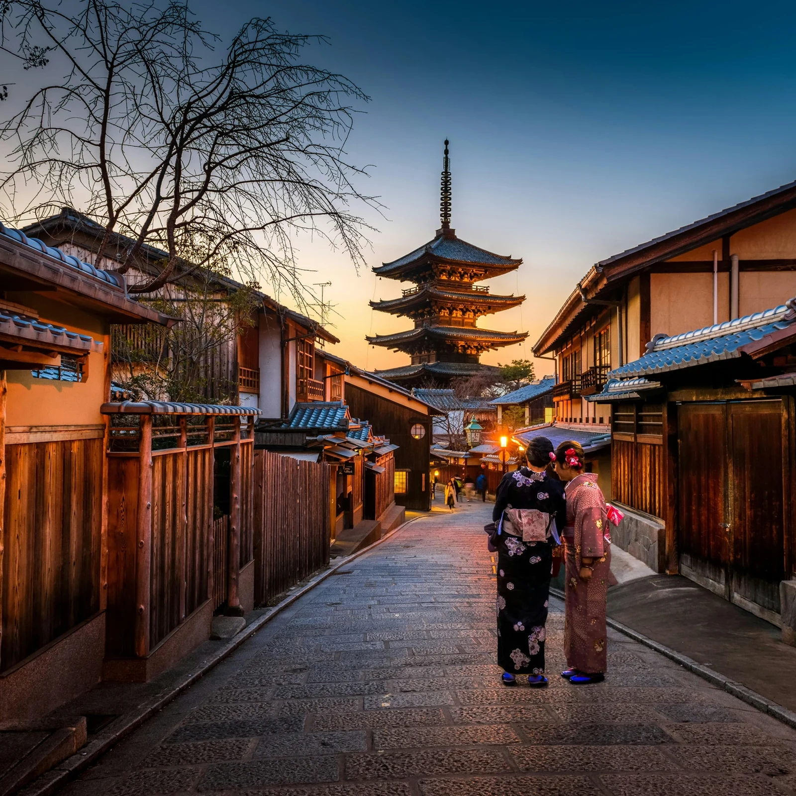 Private Kyoto Tour with English Guide and Vehicle