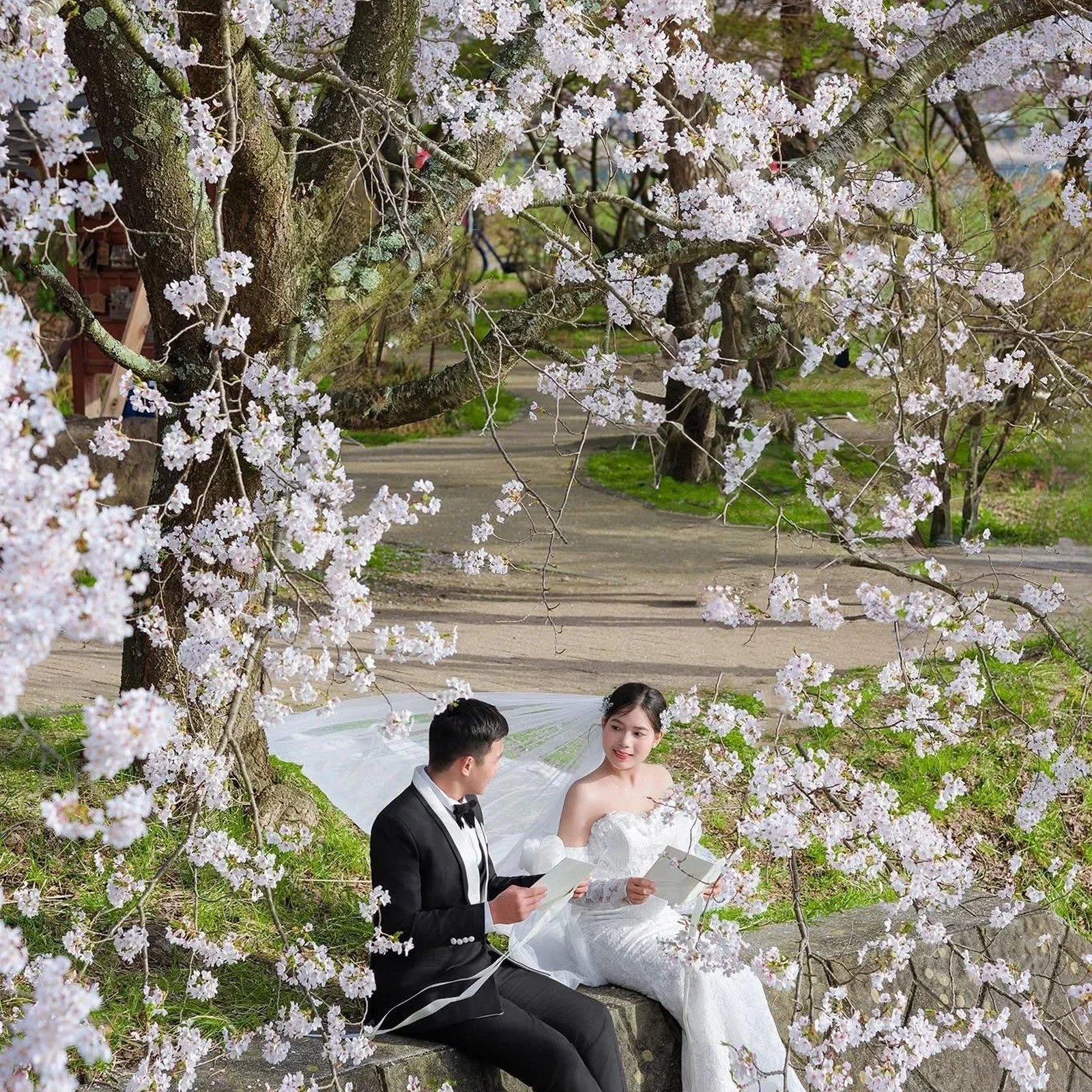 Fototour in Kyoto mit privatem professionellem Fotografen