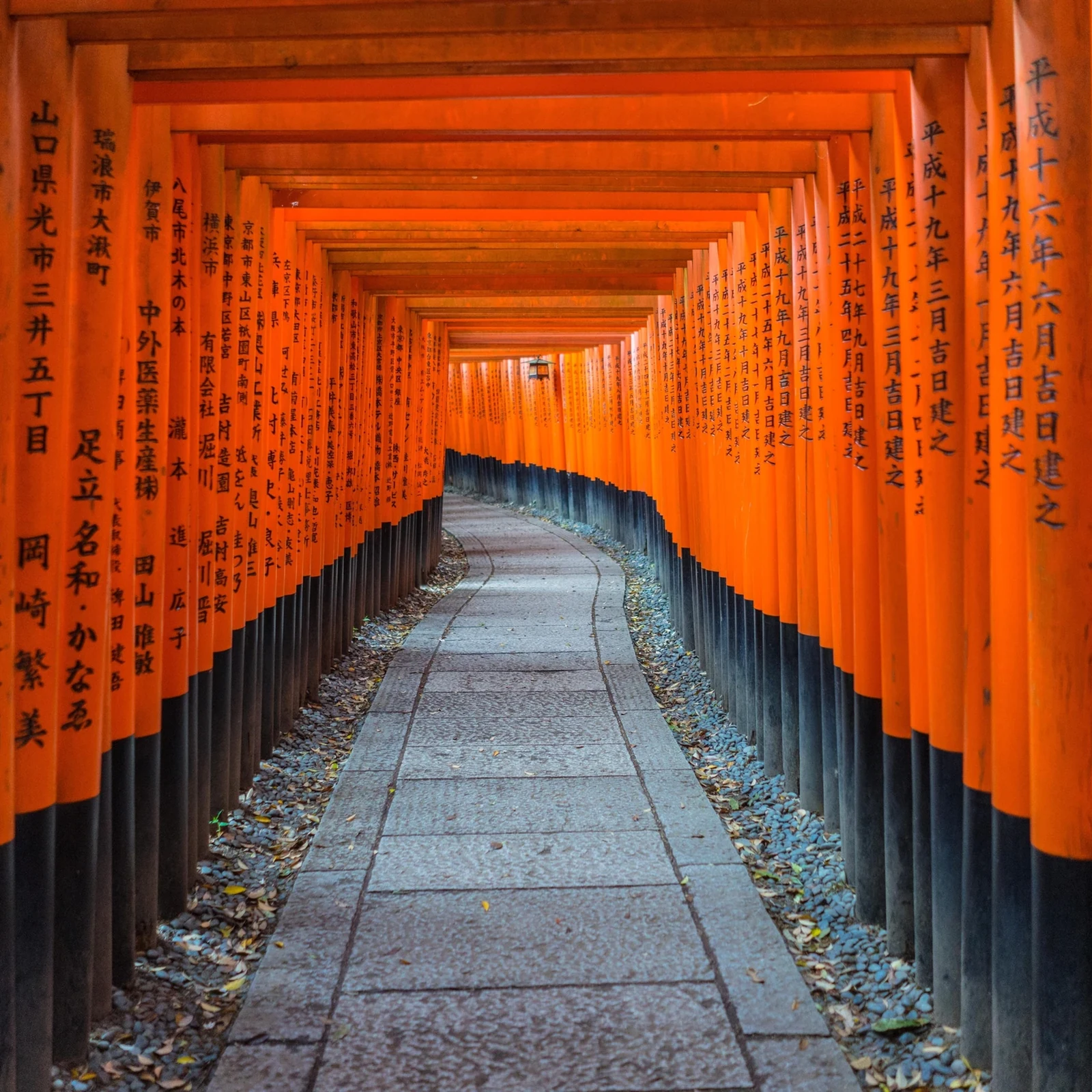 Excursión Nara Arashiyama Fushimi Inari desde Kioto u Osaka