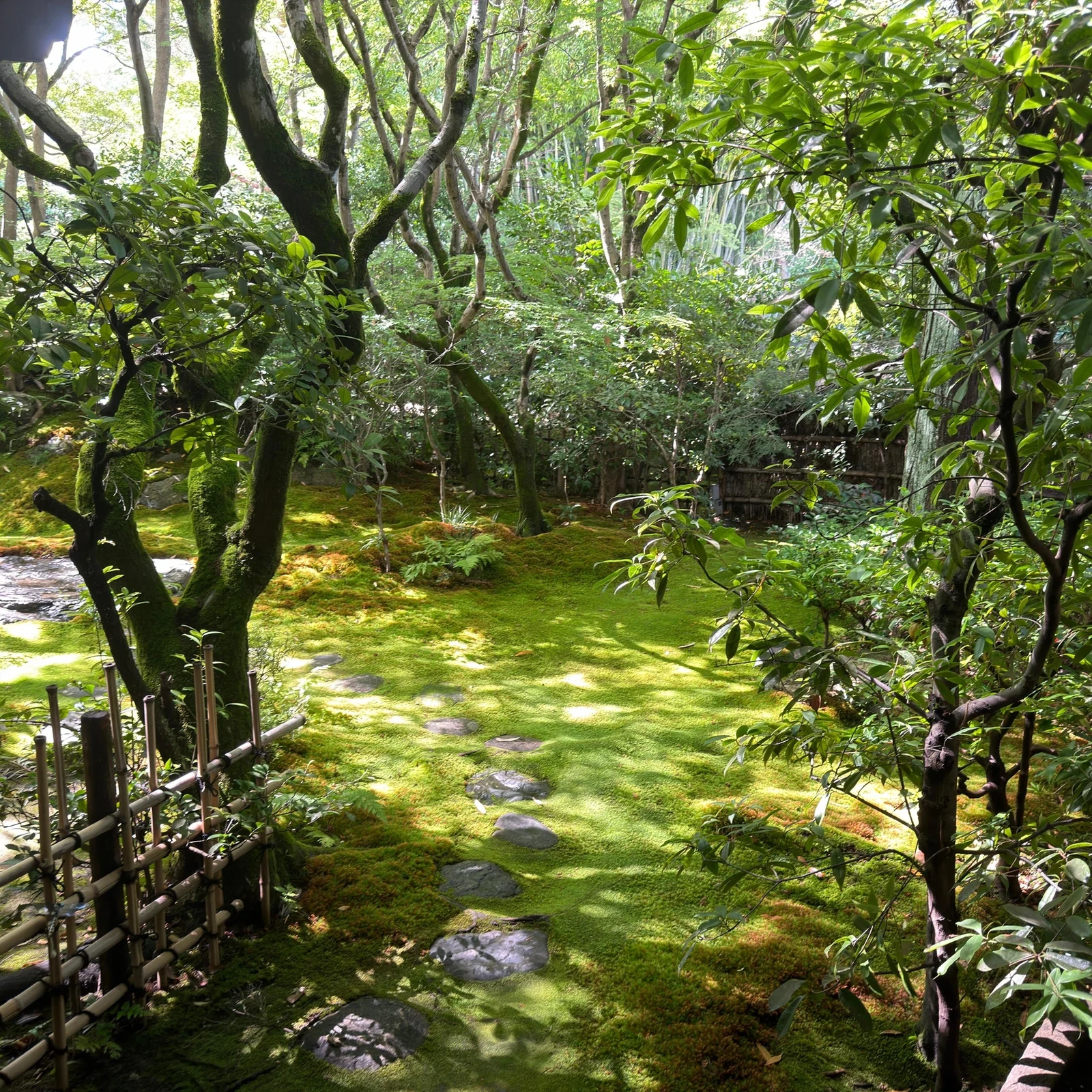 Zen meditation in Kyoto in a private temple with a monk
