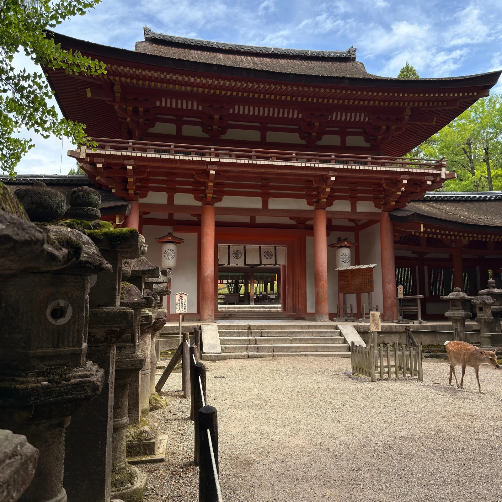 Early Morning Nara Tour from Kyoto or Osaka
